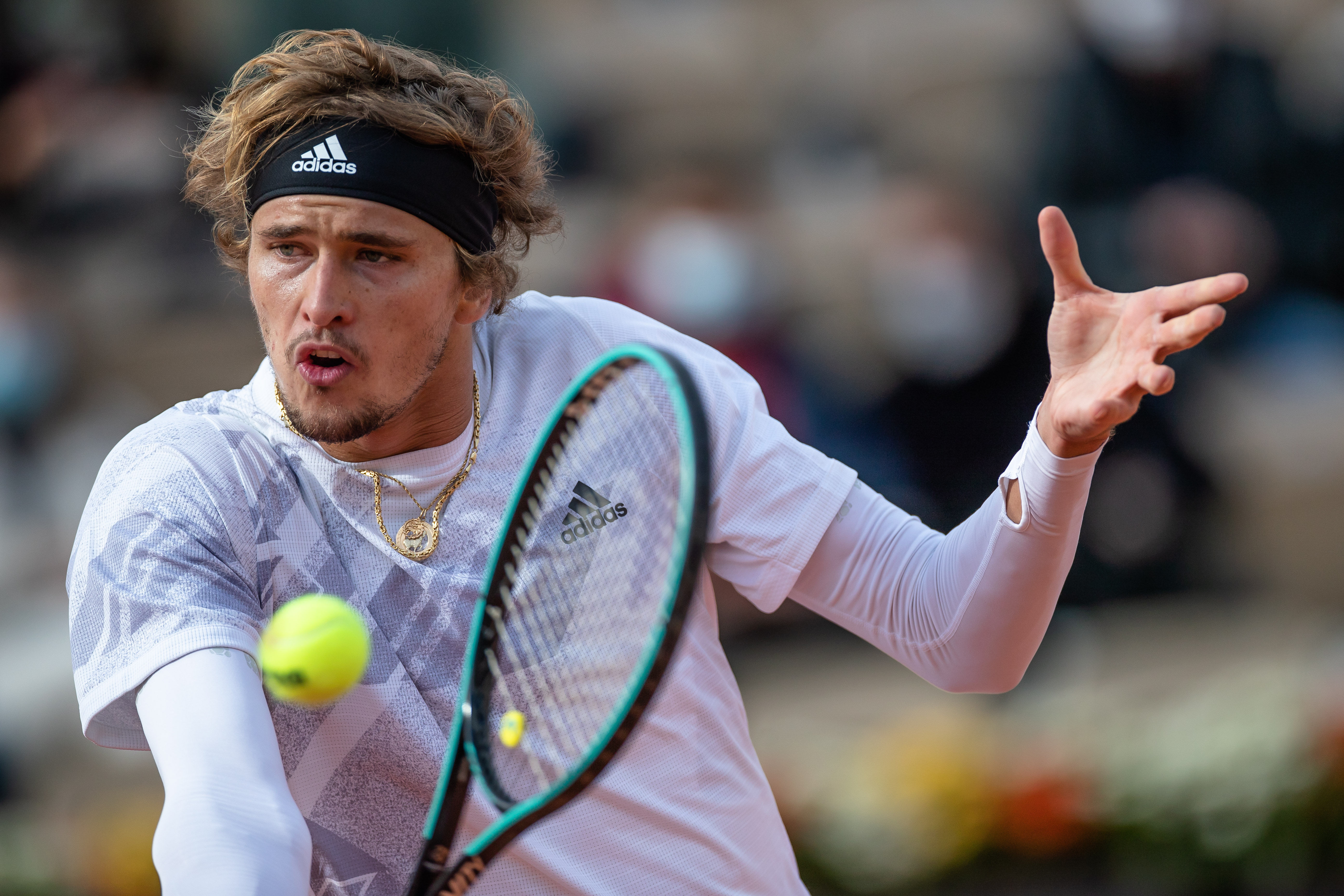 这一观点引 这一观点引